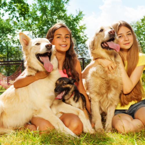 Digital Pet Care Kit
