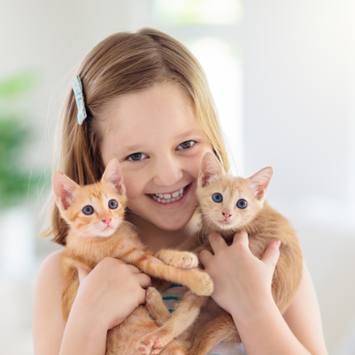 Digital Pet Care Kit