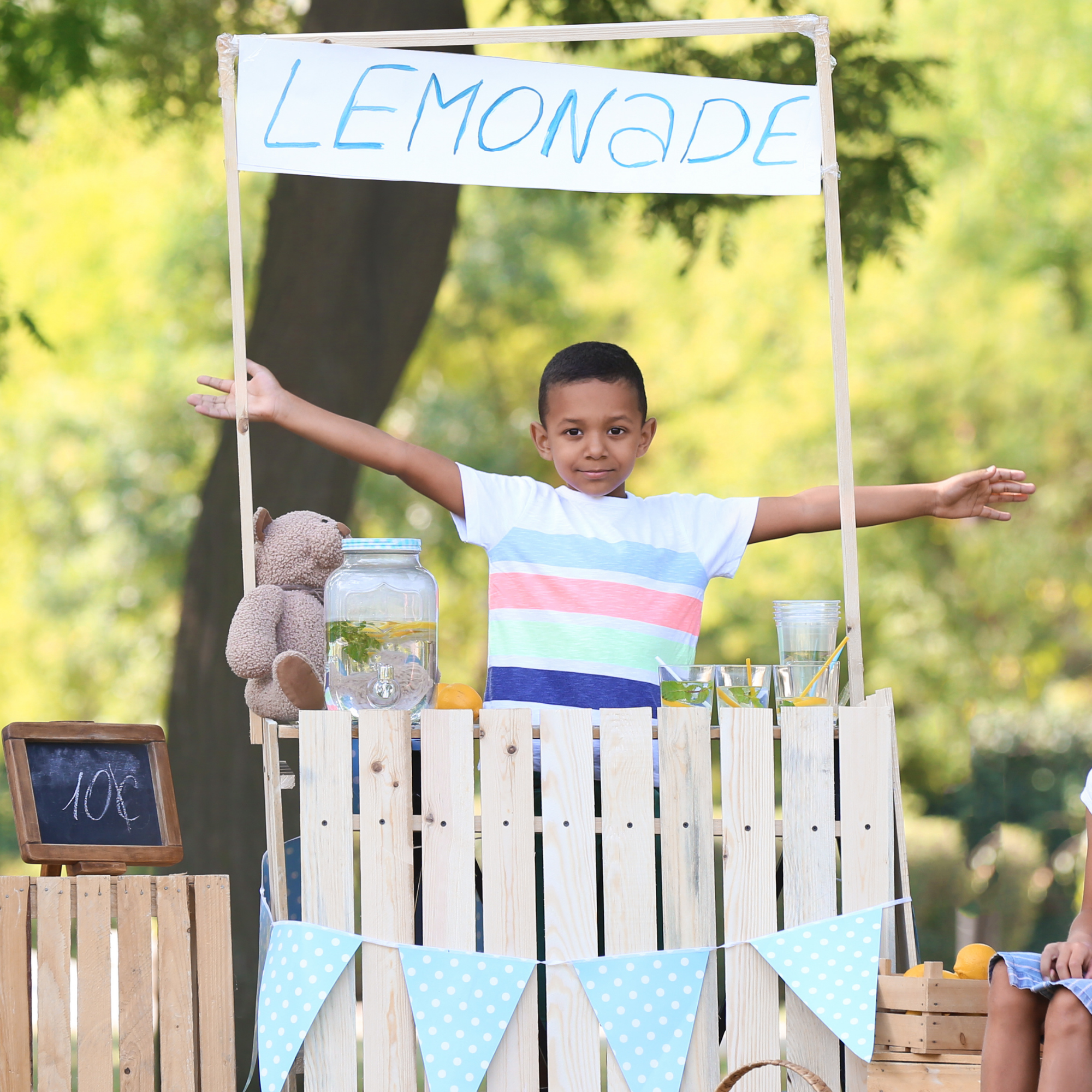 Digital Lemonade and Goodies Stand  Kit