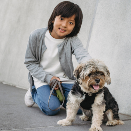 Pet Care Pro Box